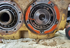 Ремонт виброплиты Wacker Neuson DPU 6555